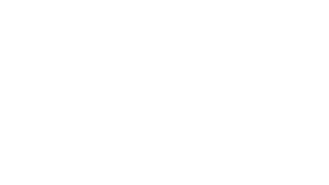 Celestyal logo